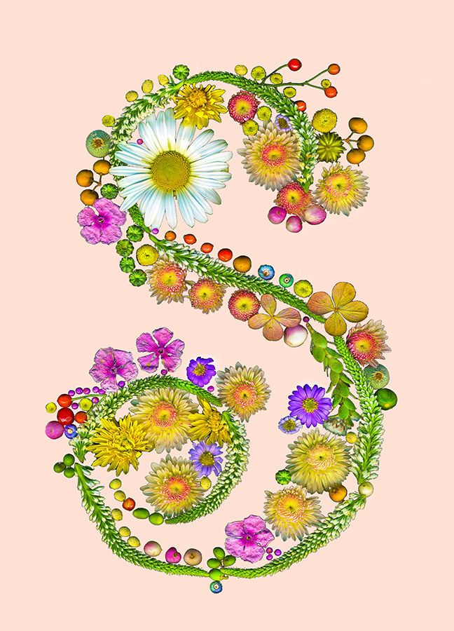 1lo_res_s_letter_s_peach