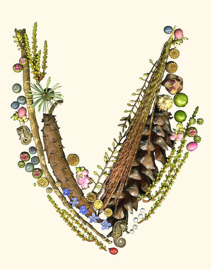 1lo_res_letter_v_ivory