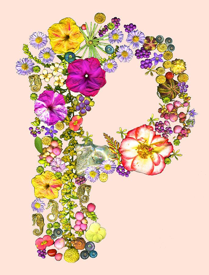 1lo_res_letter_p_peach