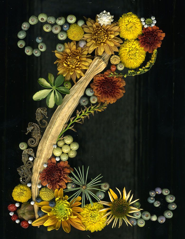 1letter_z_001_lo_res_crop