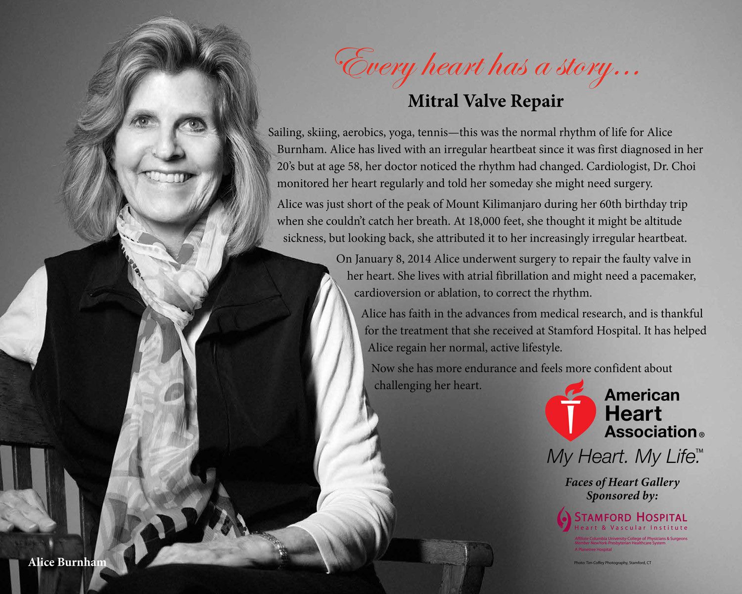 1aha_stamford_gallery_2014_v3_5