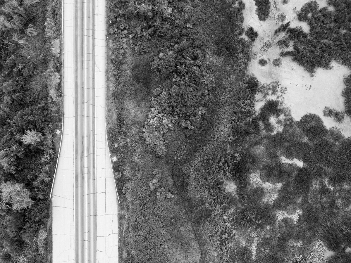 Heartland Studies_extra-3.jpg