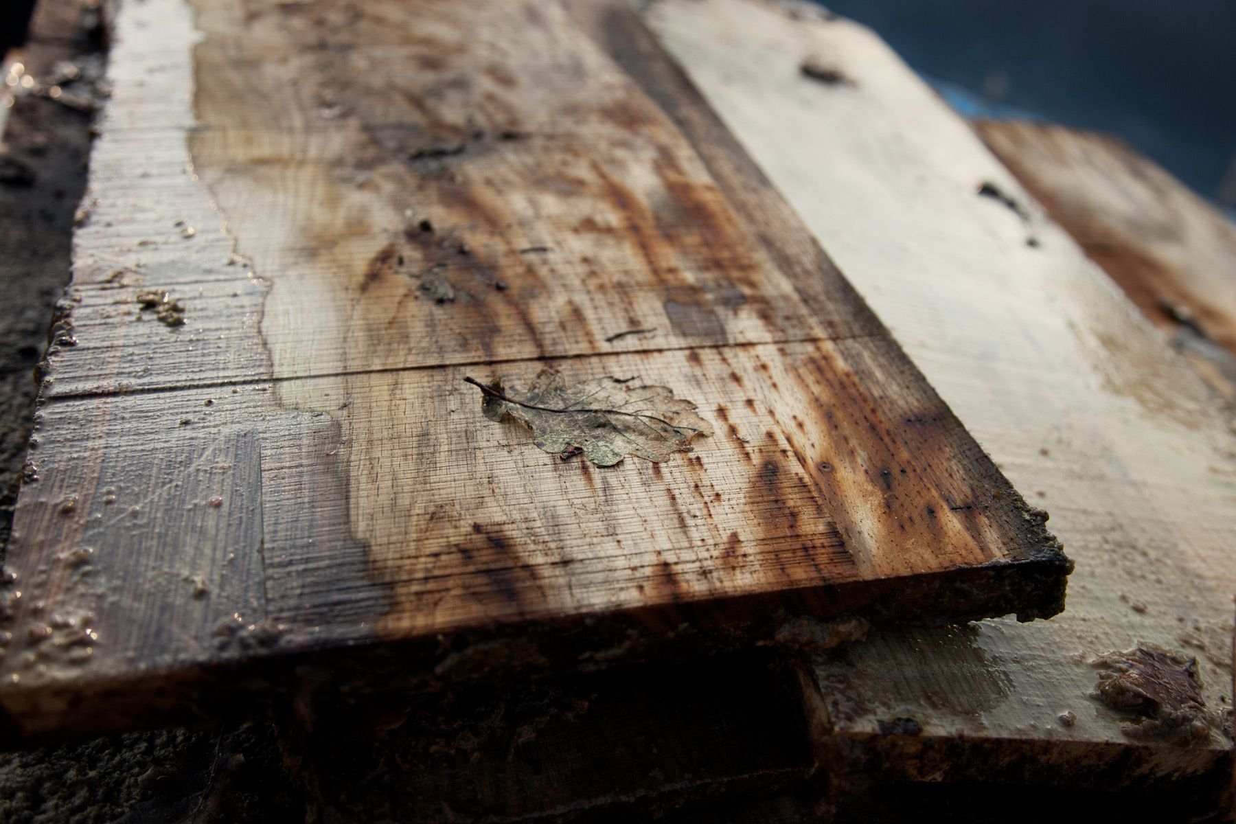 seasoning oak in the swimming pool