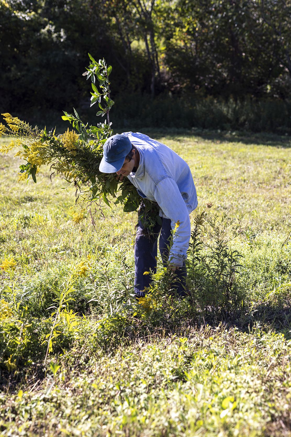 _CR56399_Final copy.jpg