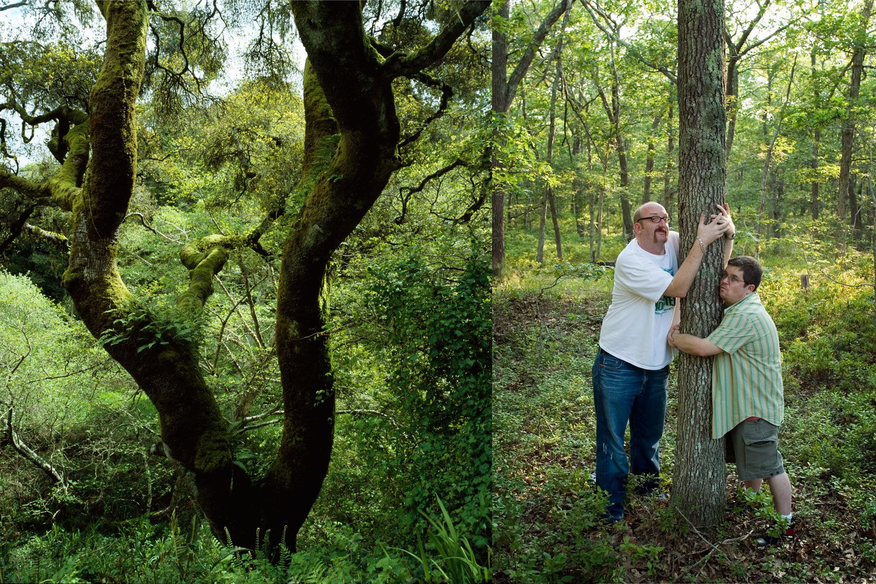 Brian Posehn and Patton Oswalt, The Comedians of Comedy,Martha's Vineyard