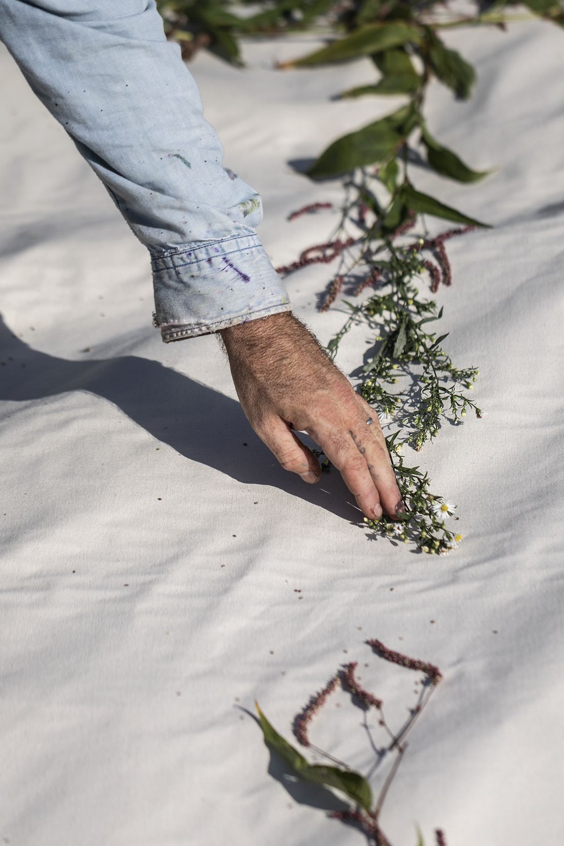 _CR56584_Final copy.jpg