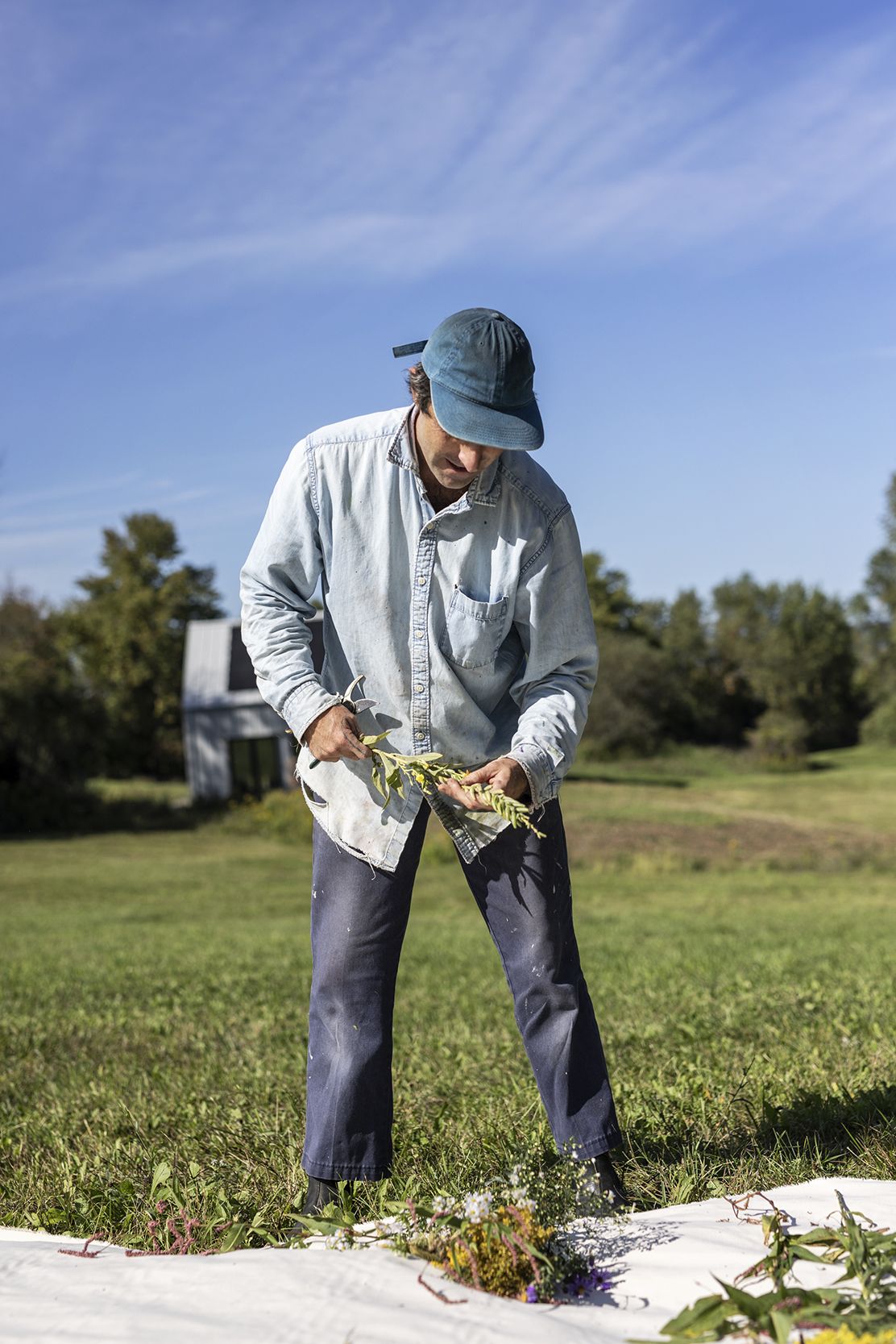 _CR56529_Final copy.jpg