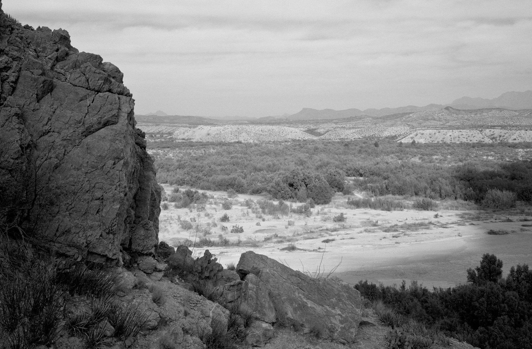 wild horses near Big Bend, Texas