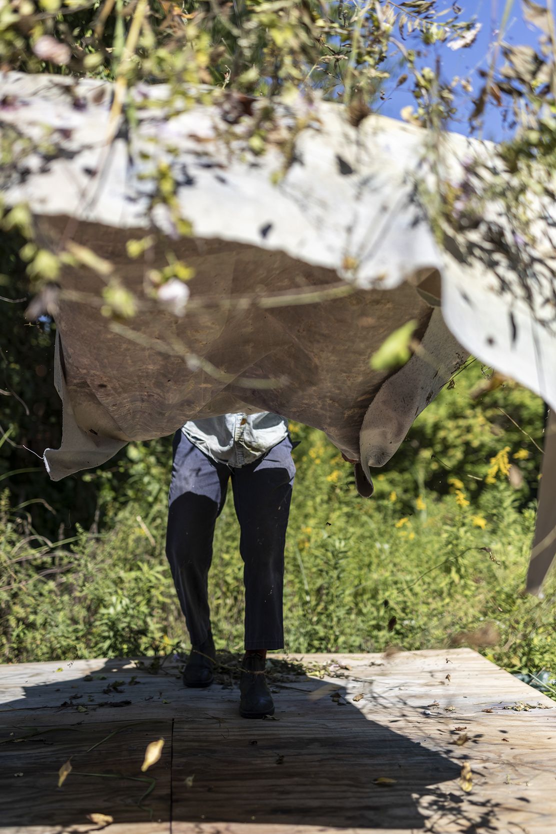 _CR55850_Final copy.jpg