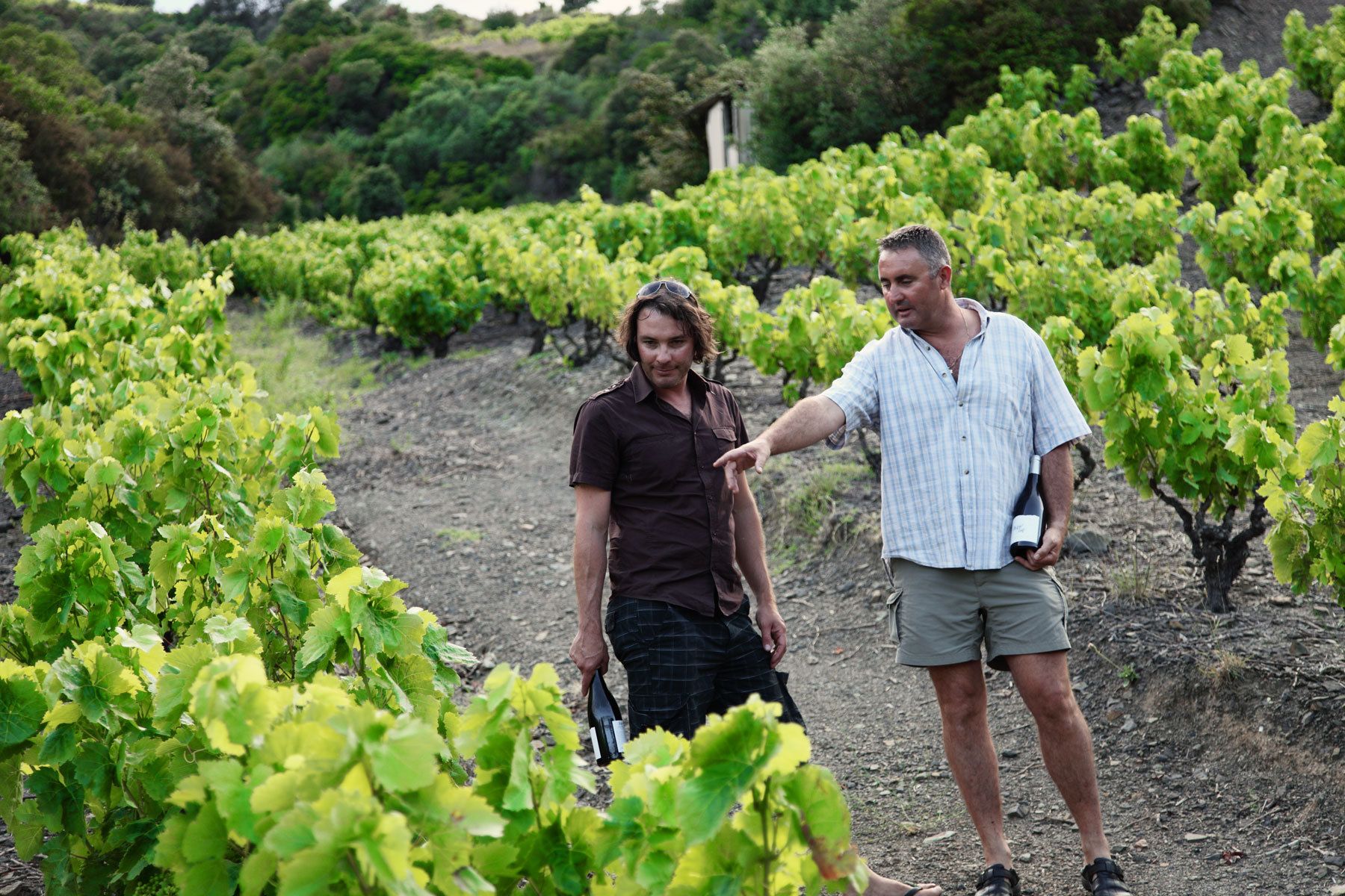 LaithwaitesMark Hoddy