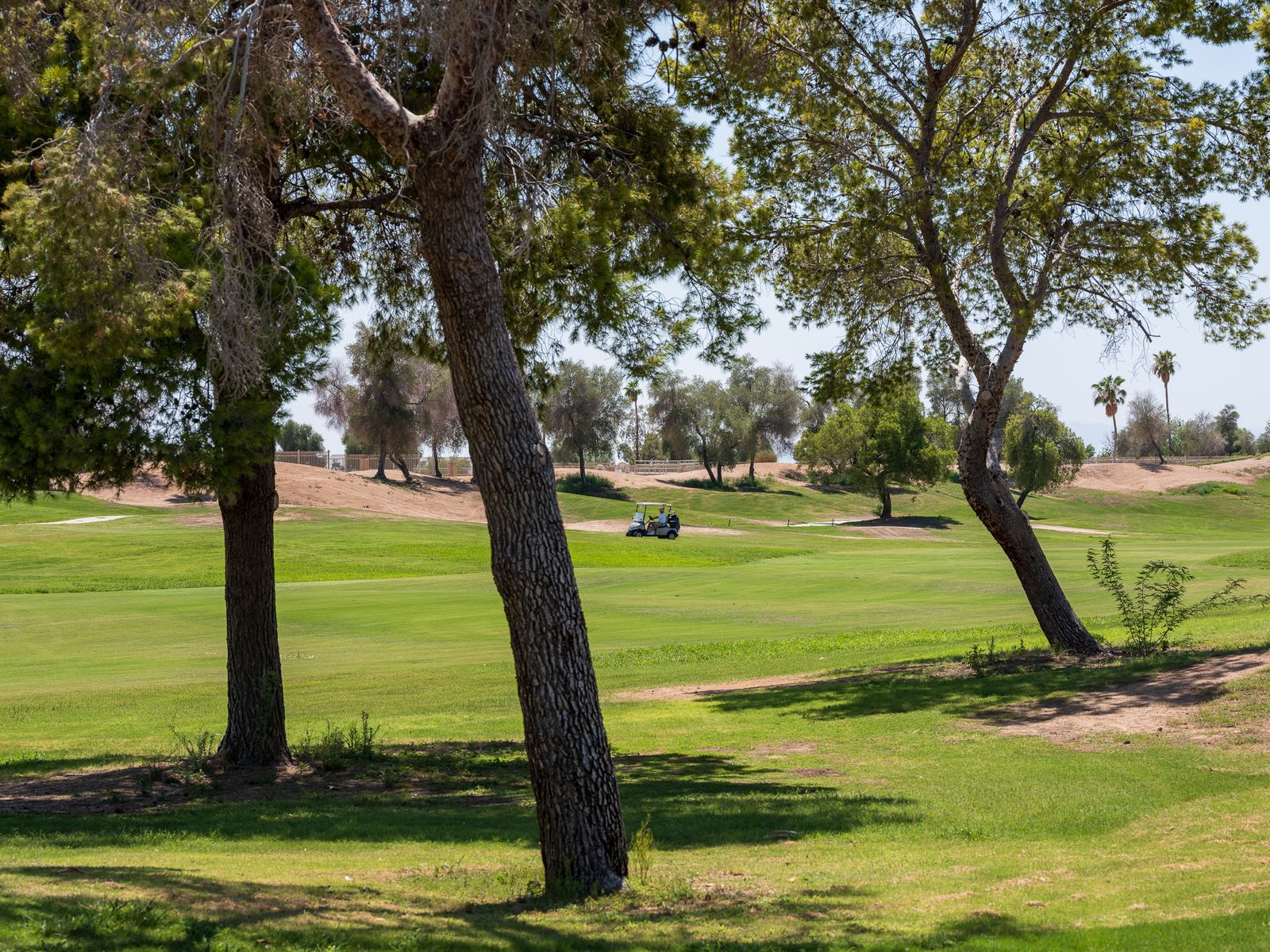 Human Imprints_10.jpg