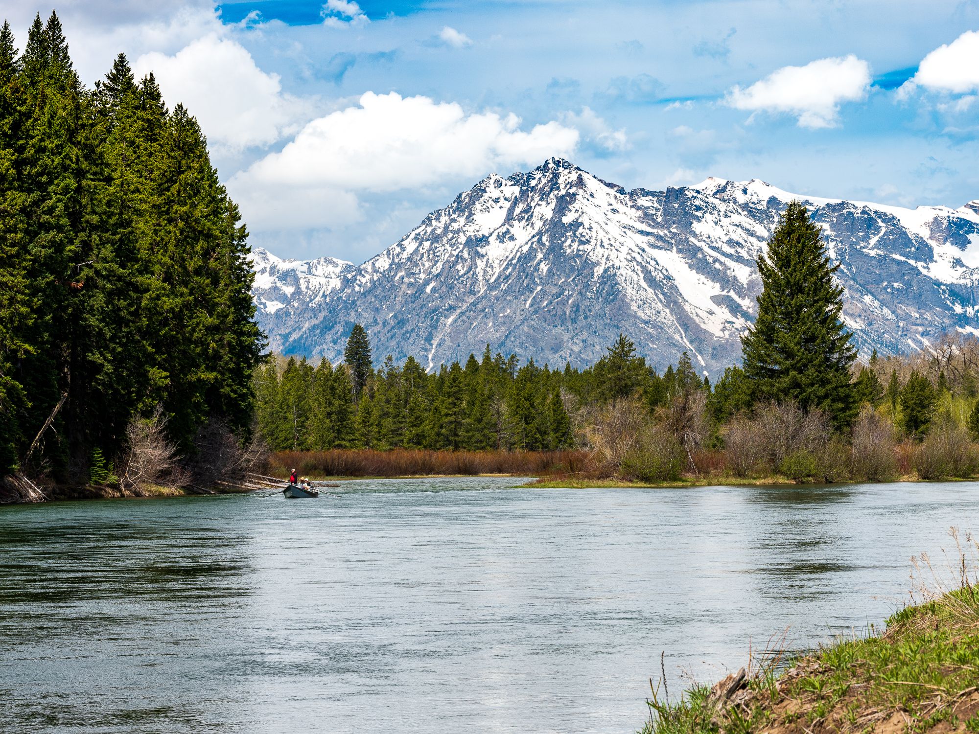 Human Imprints_2.jpg