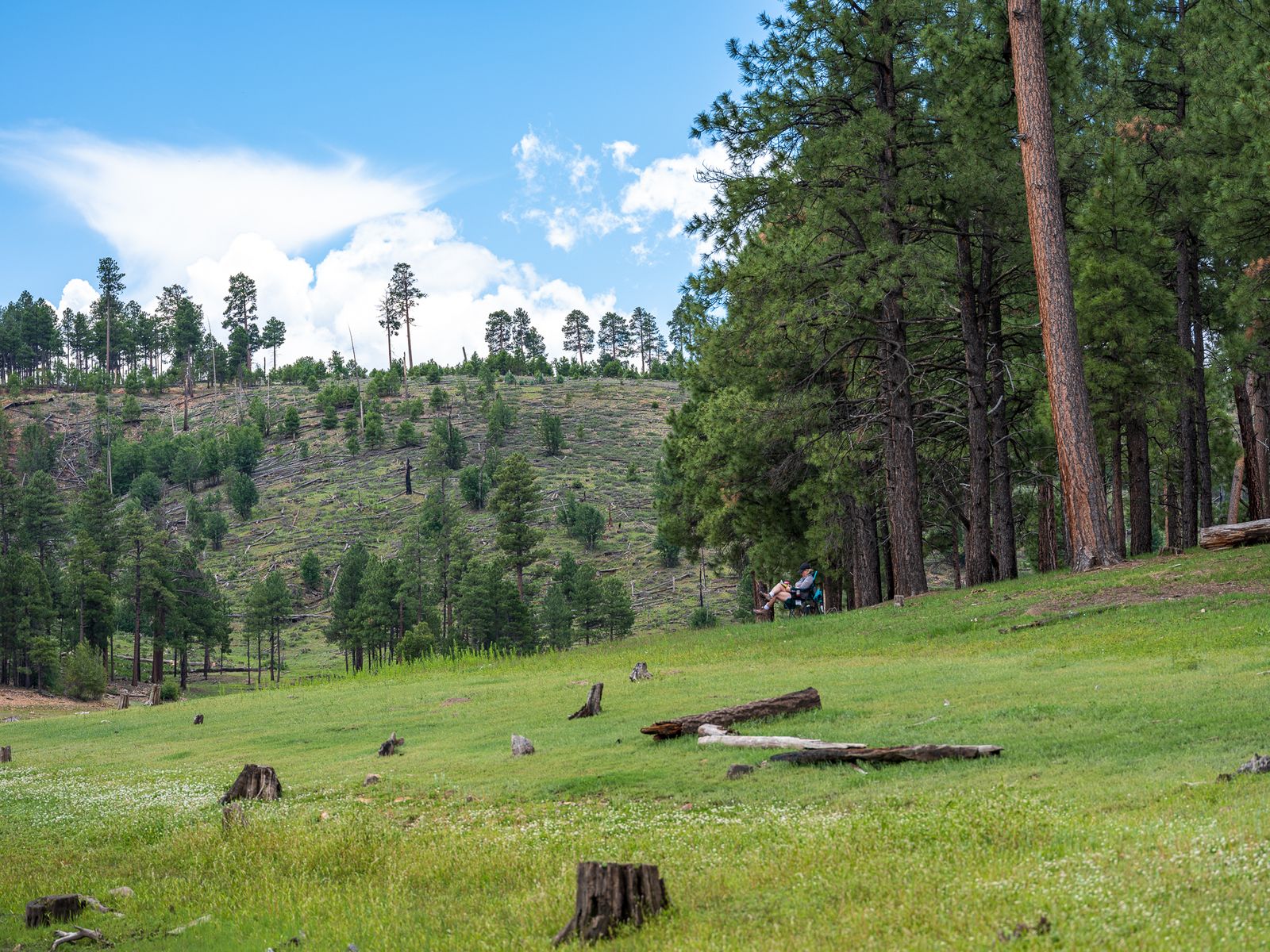 Human Imprints_9.jpg