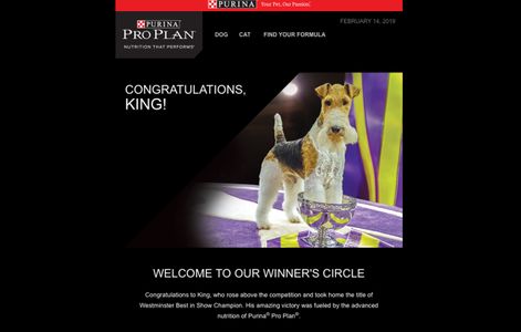 Screen-Shot-2019-02-14-at-4.32.54-PMPS.jpg