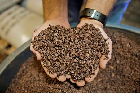A tight photo of Askinosie Chocolate Cocoa Nibs in Springfield, MO, with shallow depth of field and selective focus. Cocoa Nibs