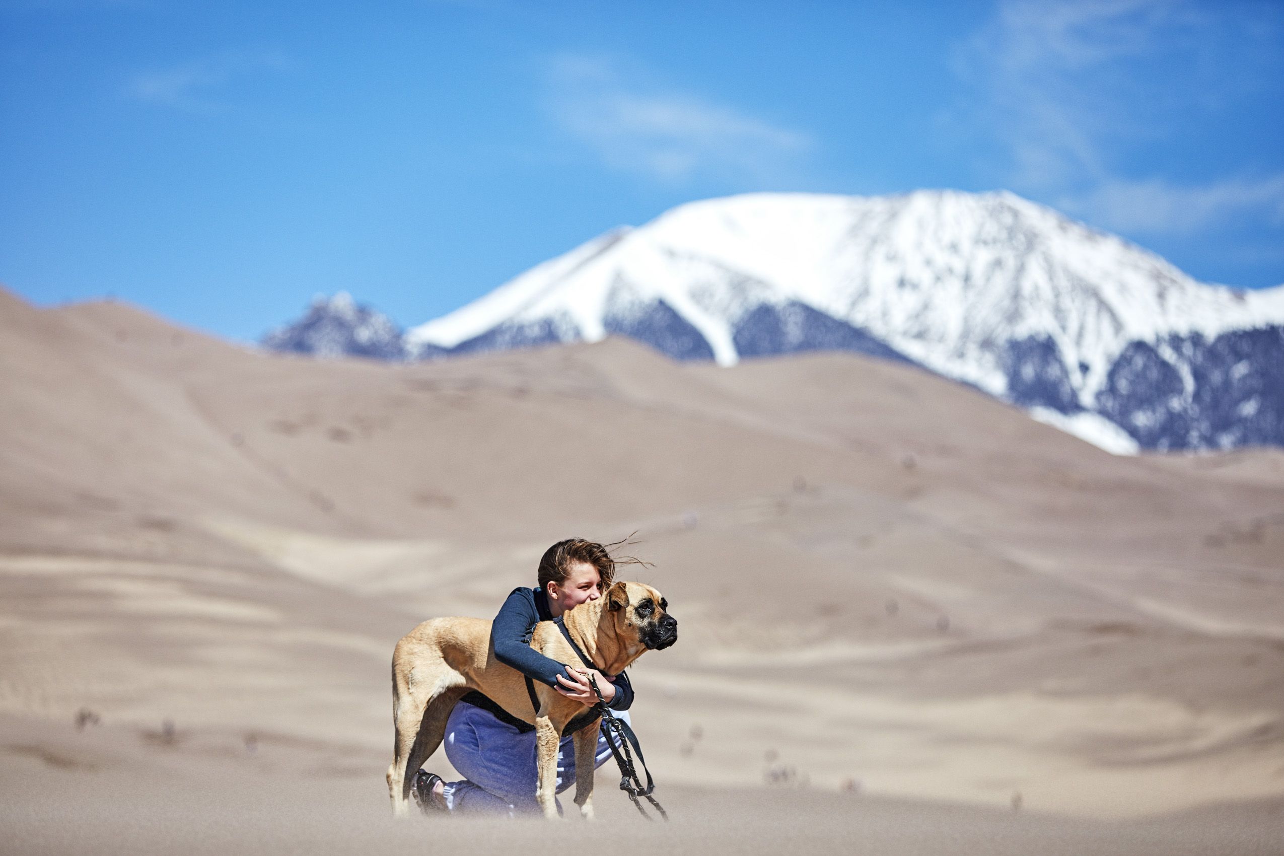 Woman and Dog in the Mountains