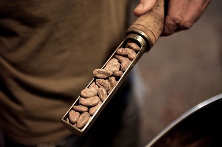 A tight photo of Askinosie Chocolate Cocoa beans being tested during the roasting process, in Springfield, MO, with shallow depth of field and selective focus. Askinosie Chocolate Cocoa beans