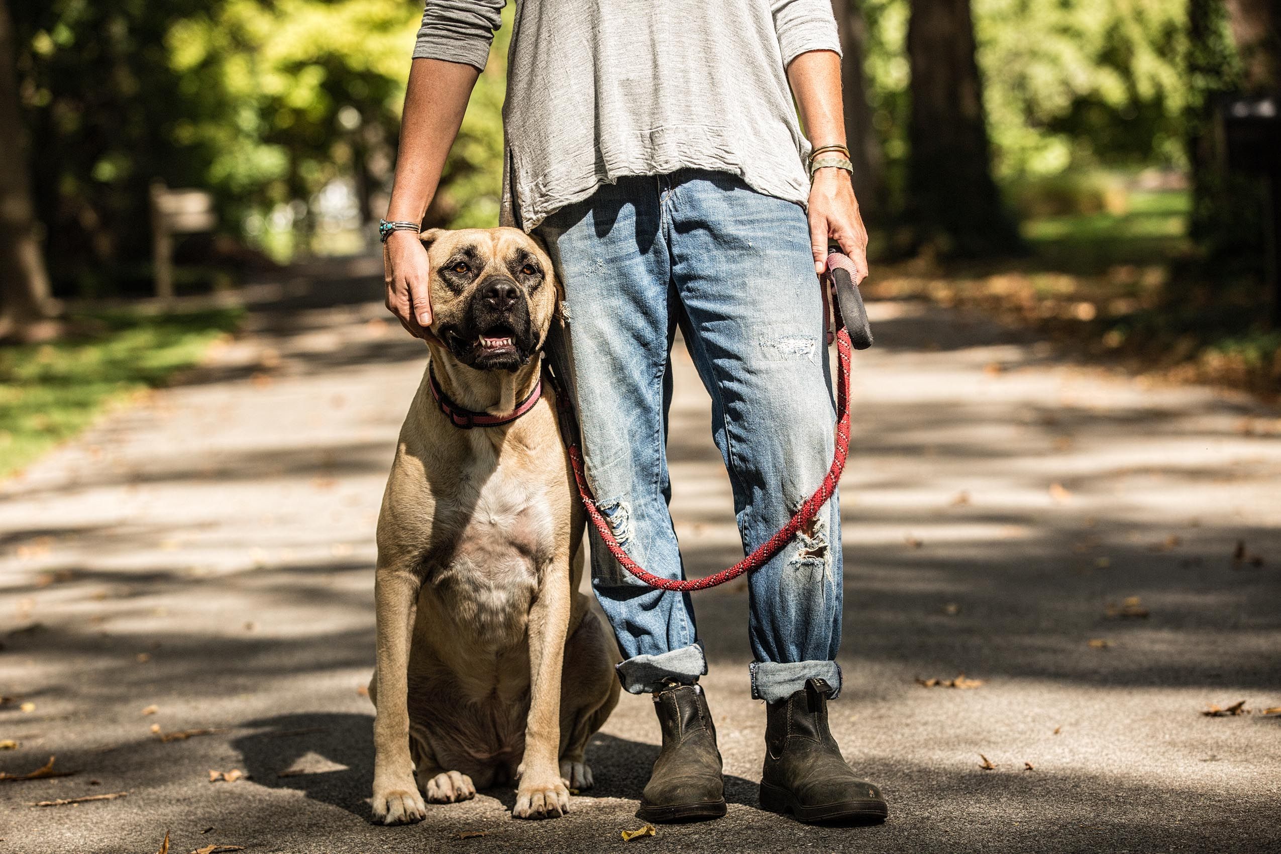 Dog and Owner Pose on a Walk