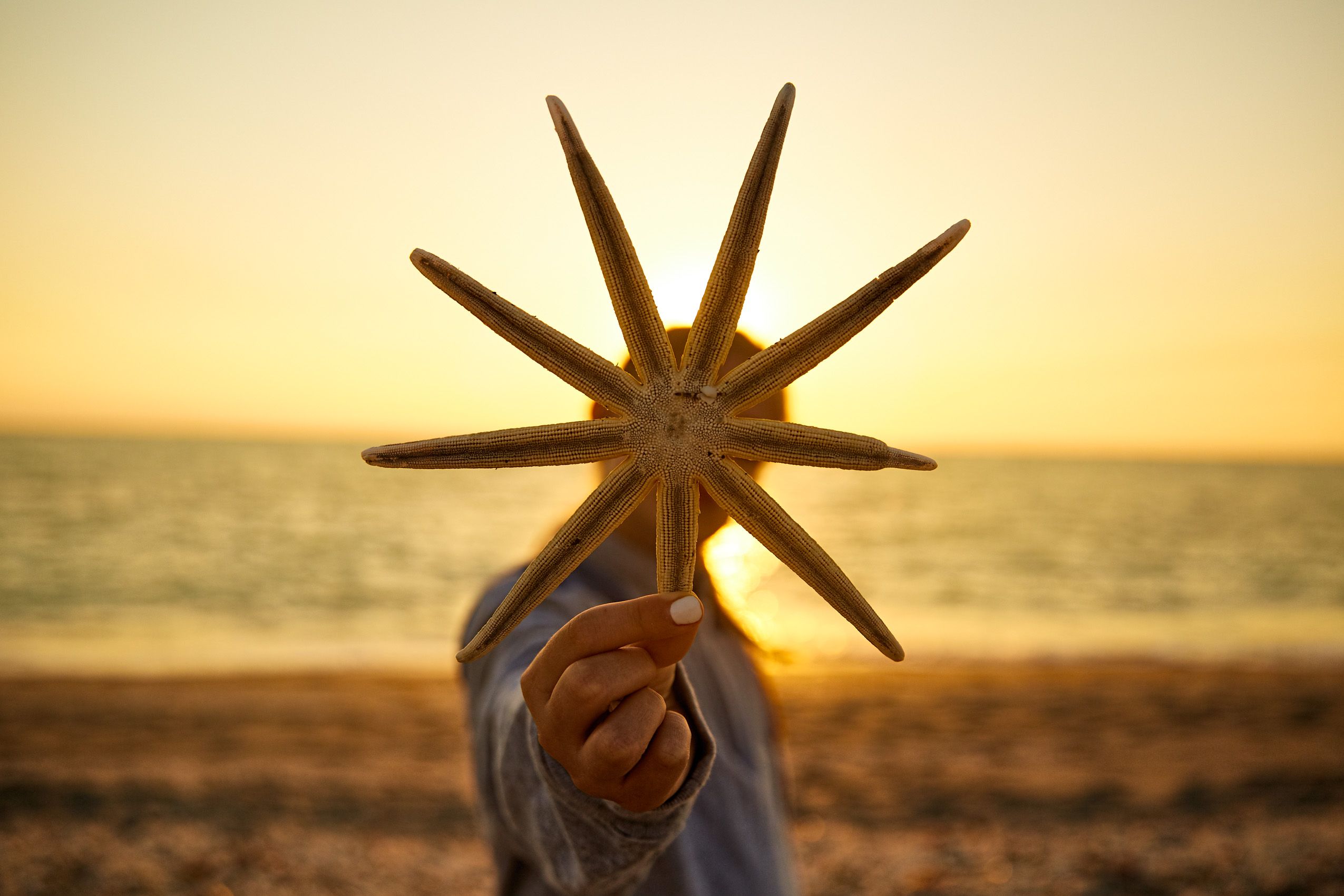 Girl Holds Starfish at Beach