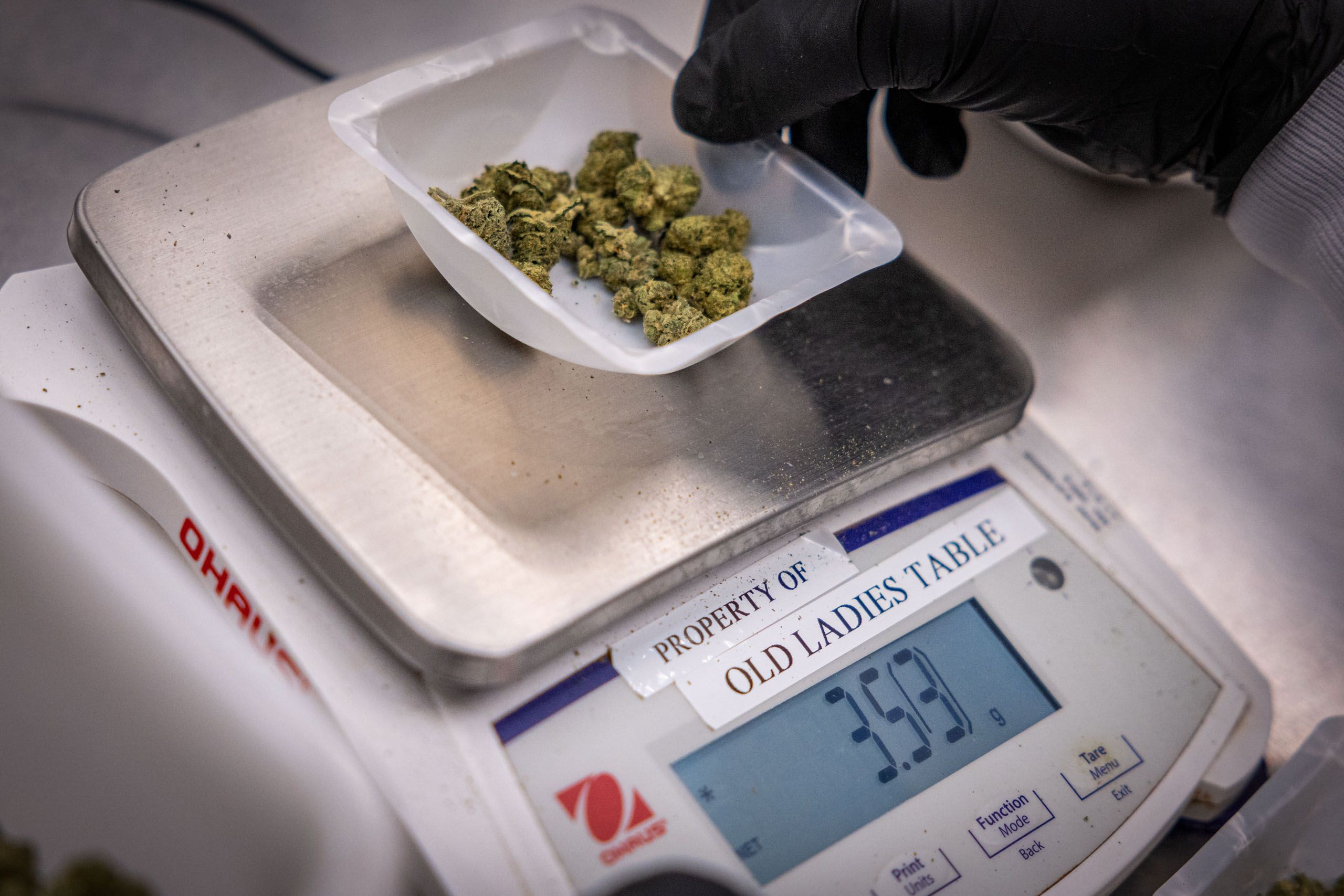 Marijuana On Scale