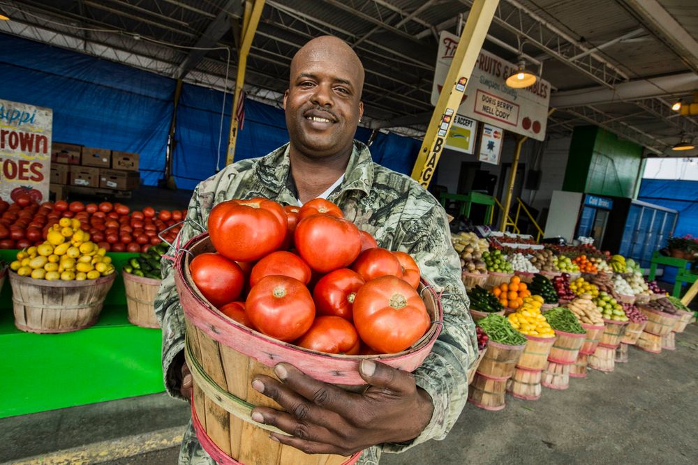A photo of a man, farmer holding a a bushel or barrel of tomatoes in Jackson, MS, at a farmers market. Is smiling with a satisfied, pleasant expression. Shot for the Mississippi Tourism campaign for advertising, branding, collateral and broadcast motion assets. Environmental portrait, and we are a industrial photographer, on location photographer & location commercial photographer. Shallow depth of field and selective focus. Man Holding a Bushel of Tomatoes
