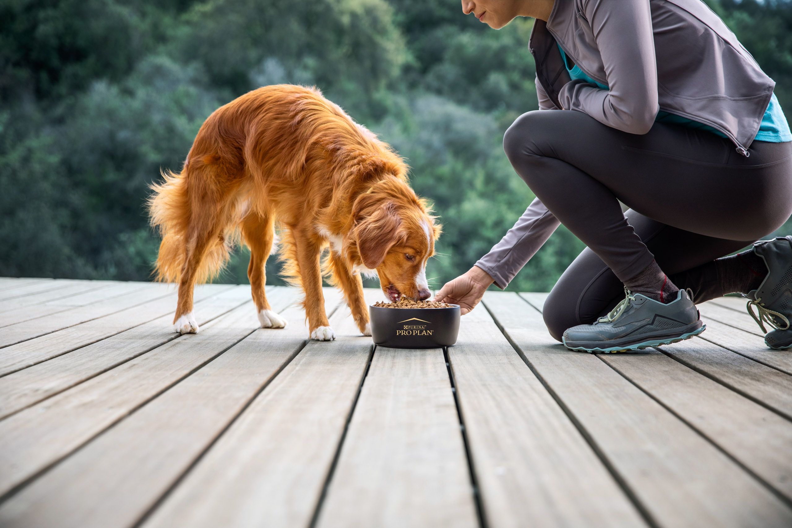 Woman Feeding Dog