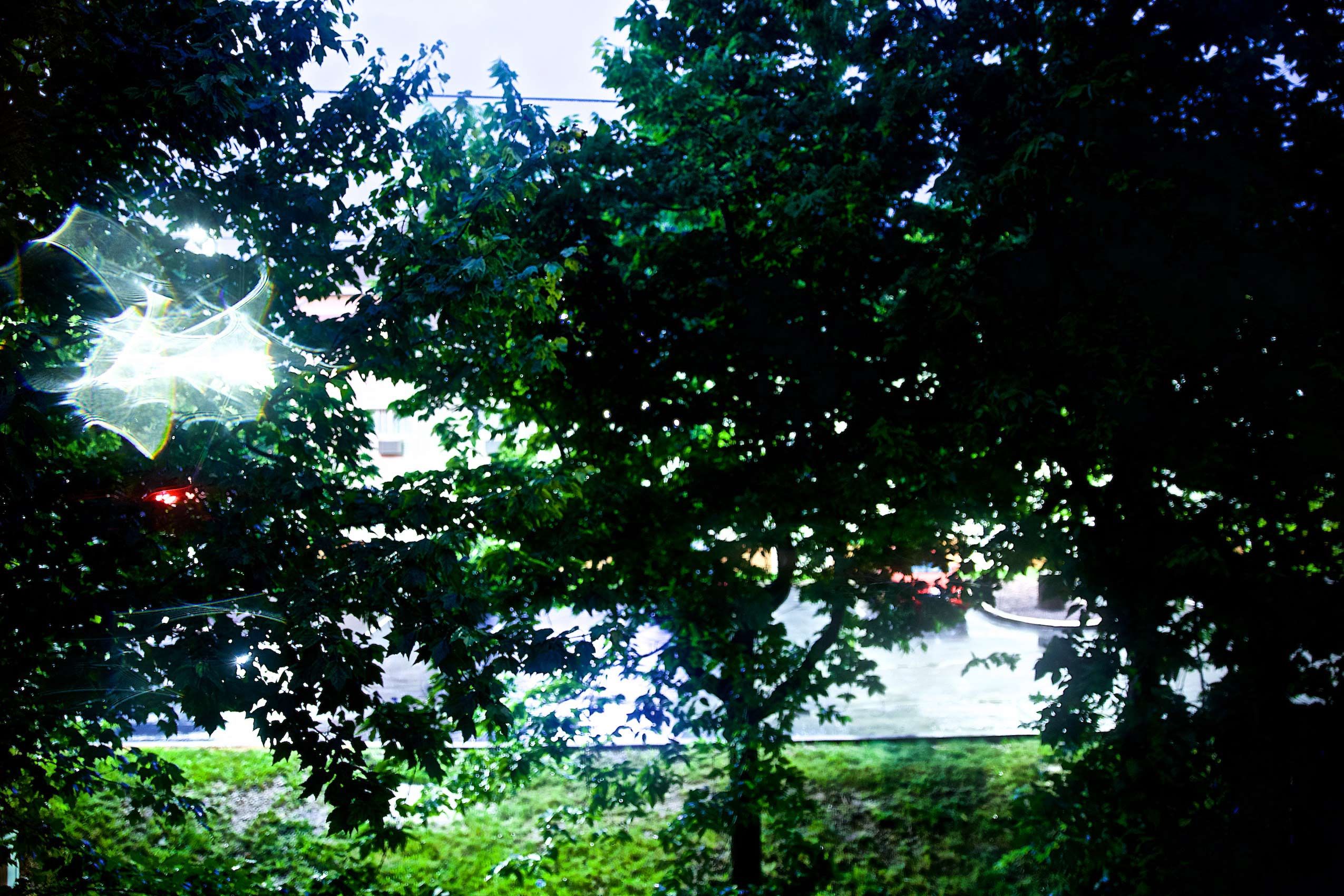 6J0A0117.jpg