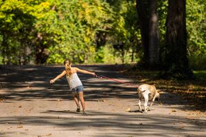 A girl and her dog are seen going for walk down a quiet street in the late afternoon. There seems to be a disagreement as to their direction, as the big dogs pulls toward the grass lol. A Girl & Her Dog Going for a Walk