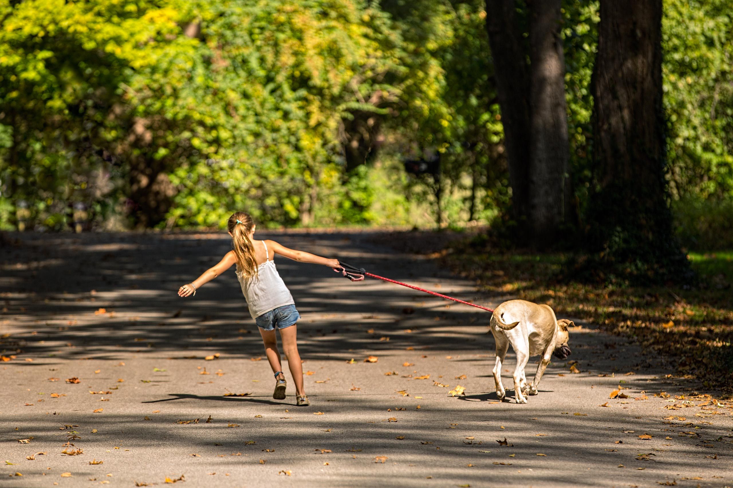 A Girl & Her Dog Going for a Walk