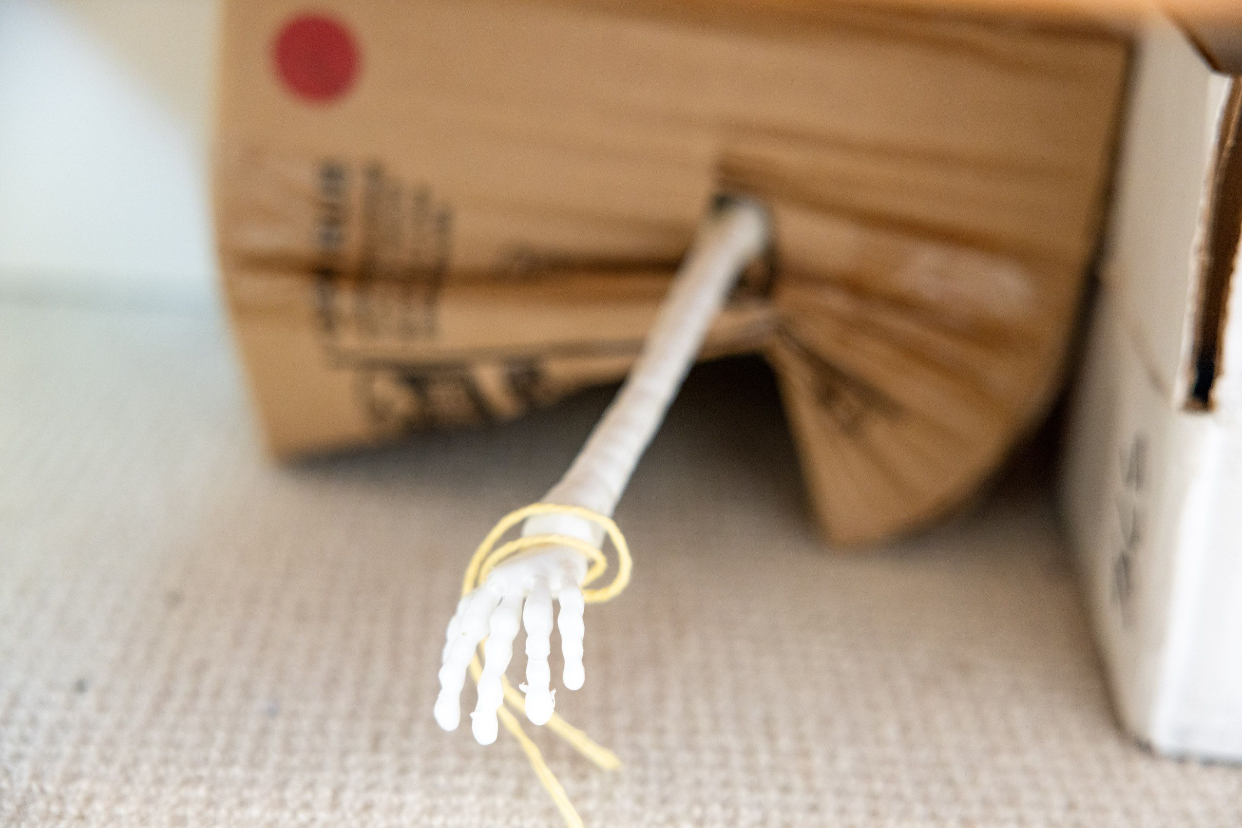 Hallie Scruggs_20230819-2V3A7491.jpg