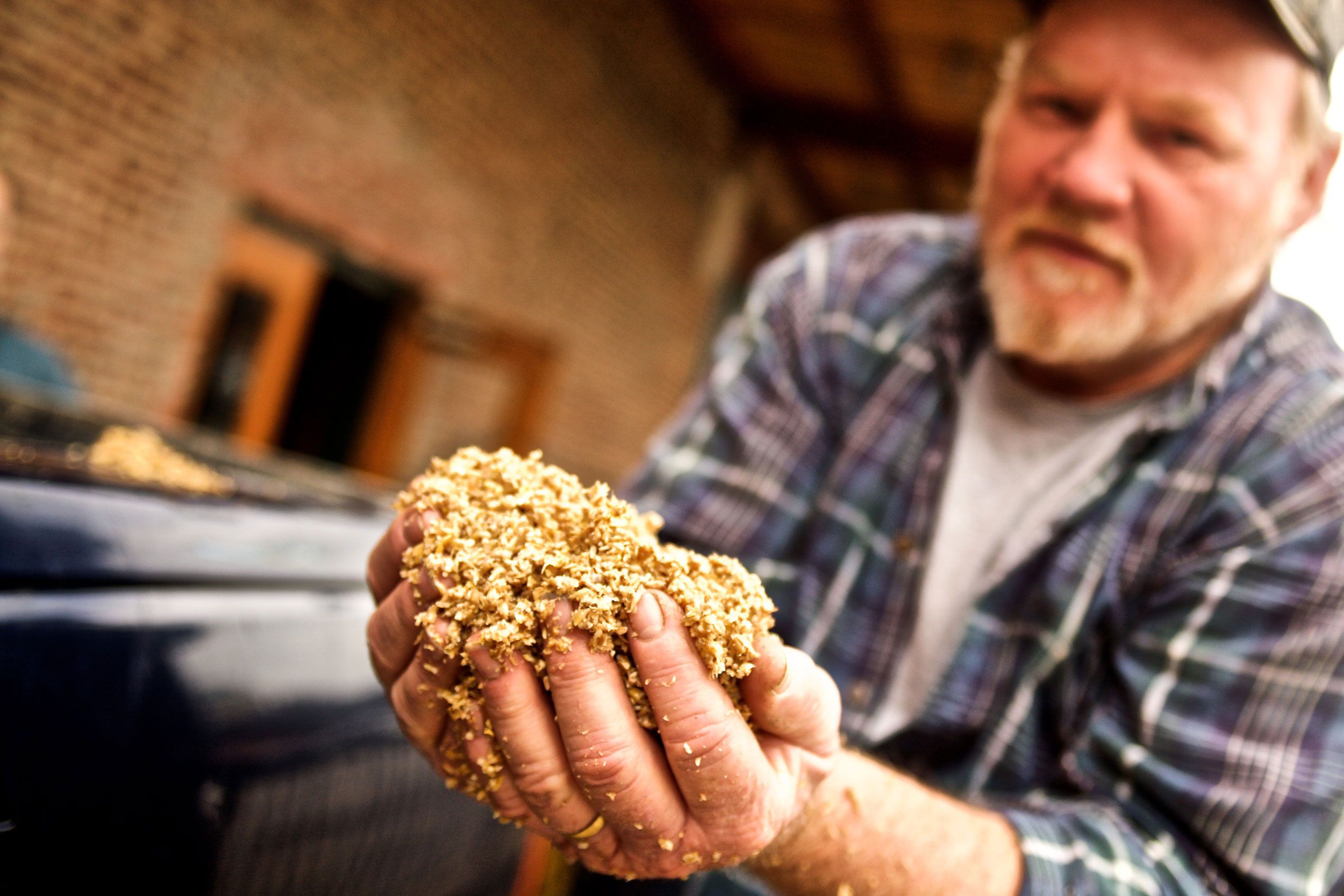 Man Holding Grain for the Camera