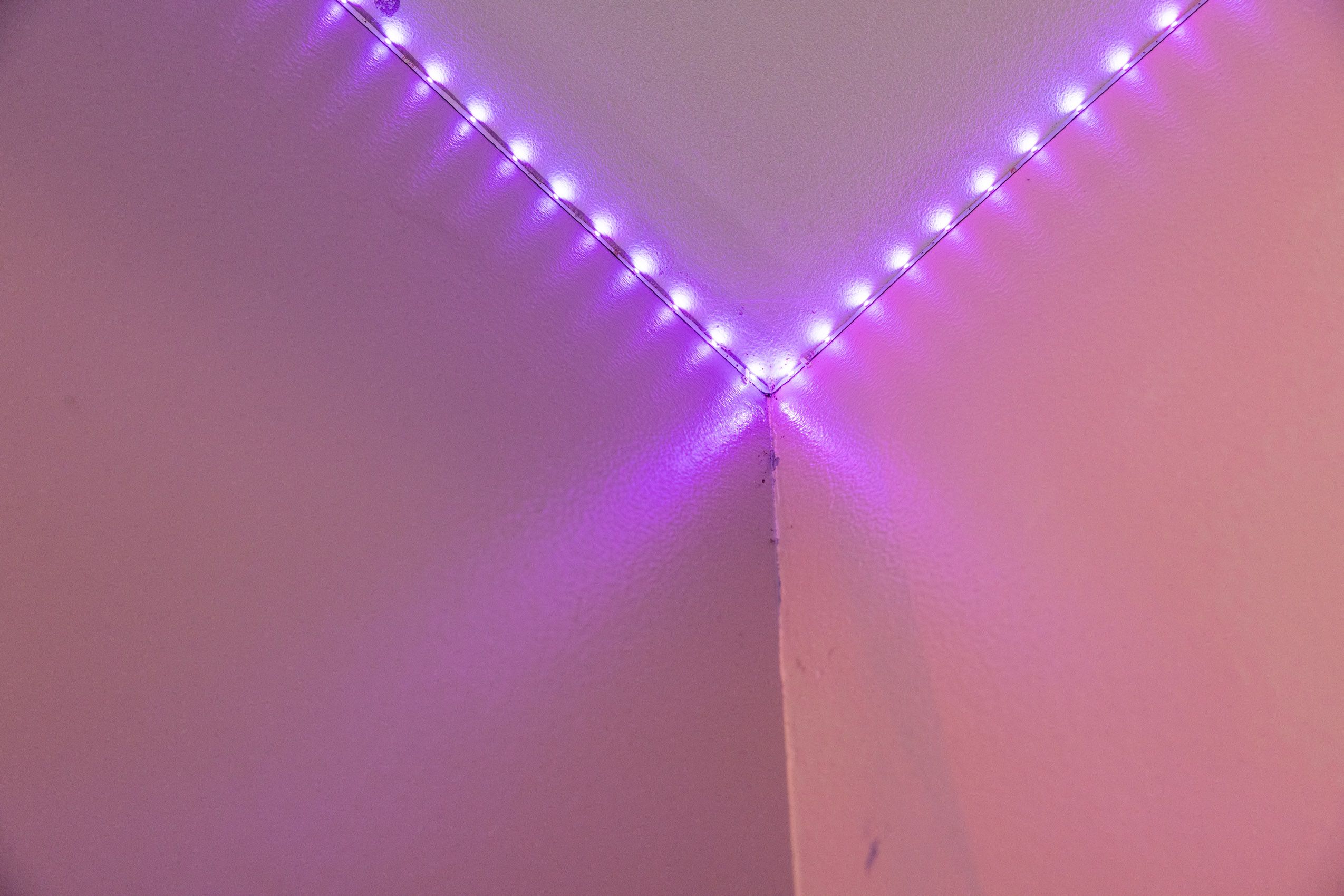 Jaclyn Cazares_20240118-2V3A5792.jpg