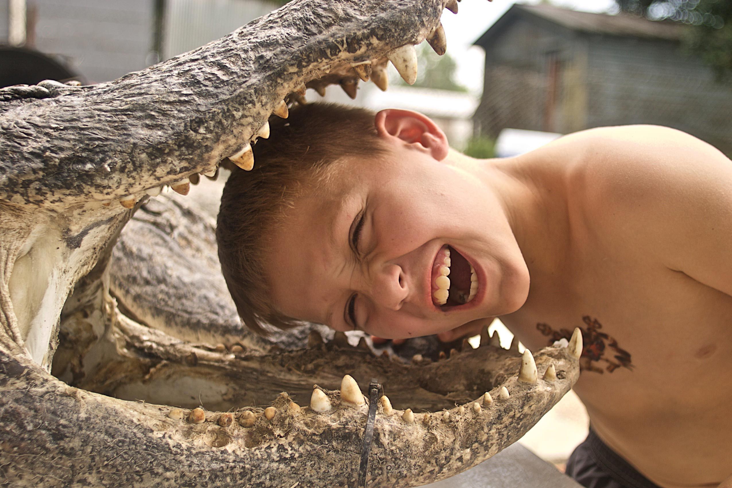 Boy with Head in Alligator Statue