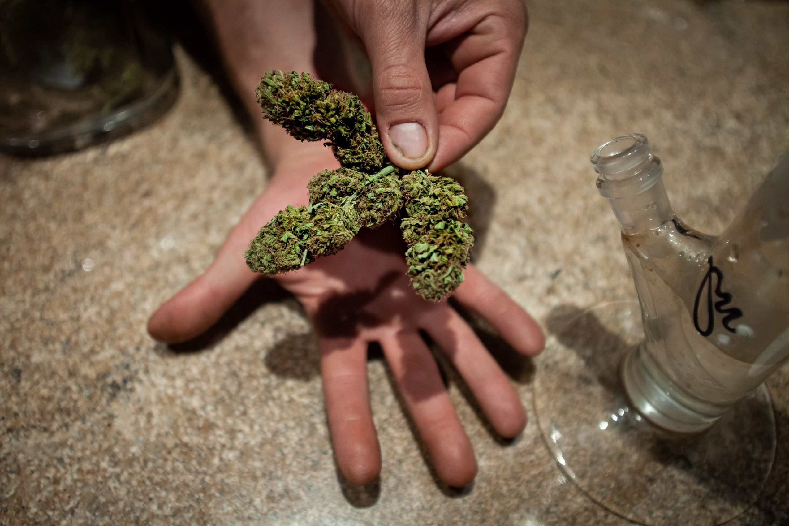 Hands Holding Marijuana