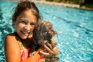 A little girl, smiling in a pool warmly holds her puppy. A Girl with her Puppy