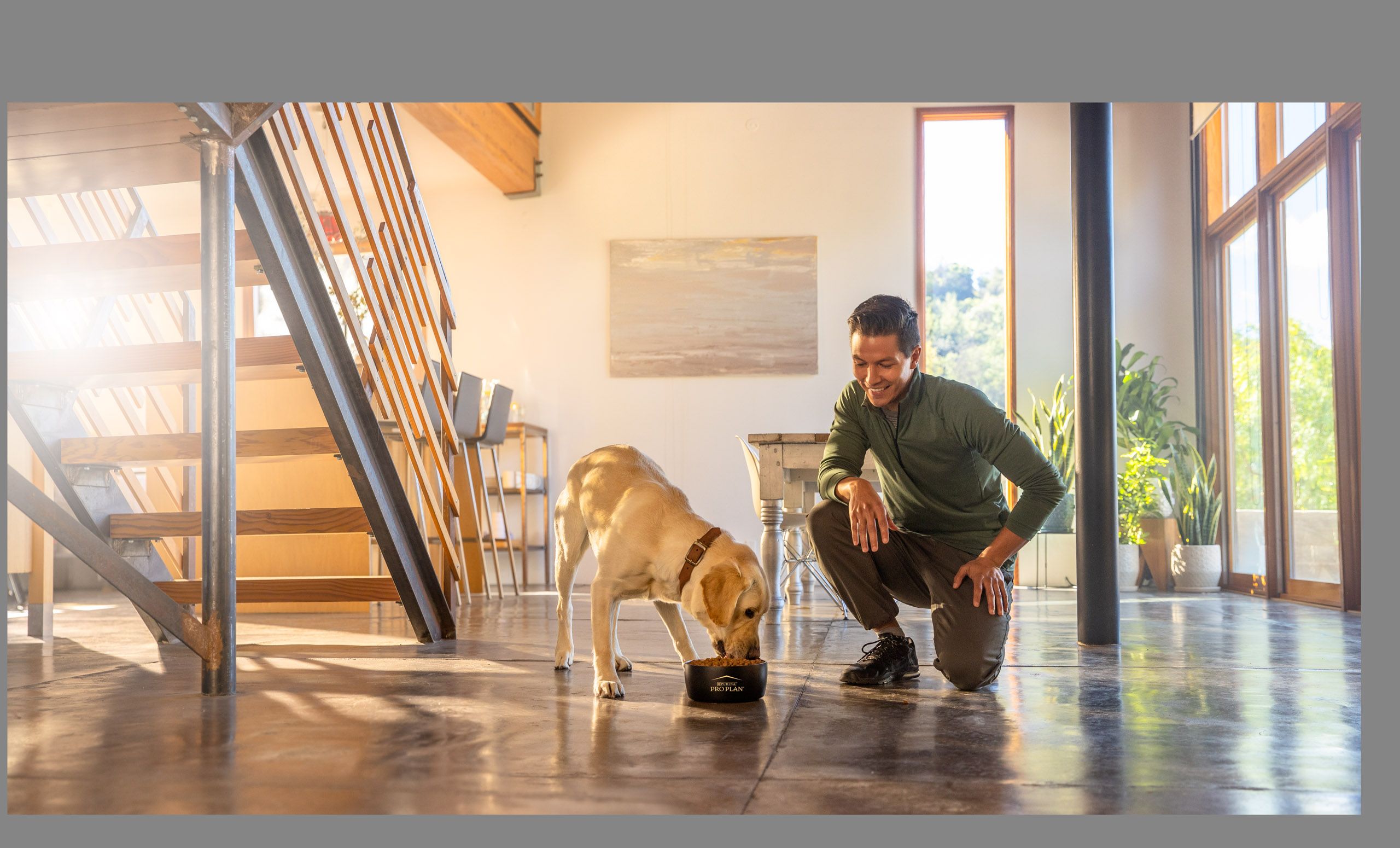 Man Feeds Dog