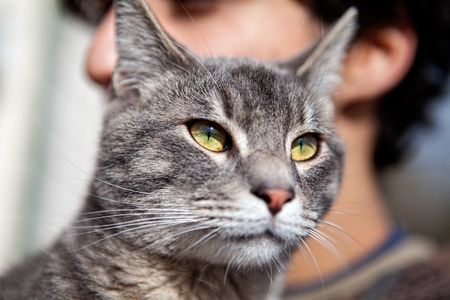 A volunteer at a animal shelter with a cat that is up for adoption. Purina Cat Chow helped sponsor the event. Cat