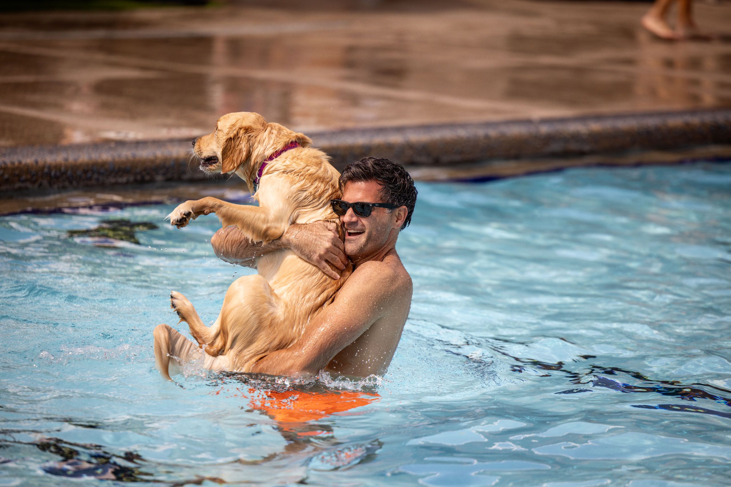 Man Holds Dog in Pool