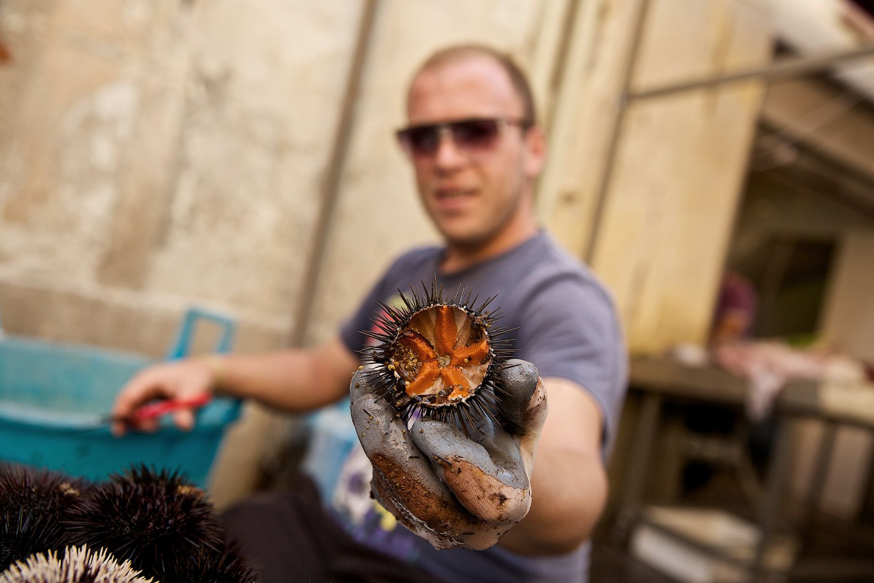 Vendor At  a Fish Market With Sea Urchin