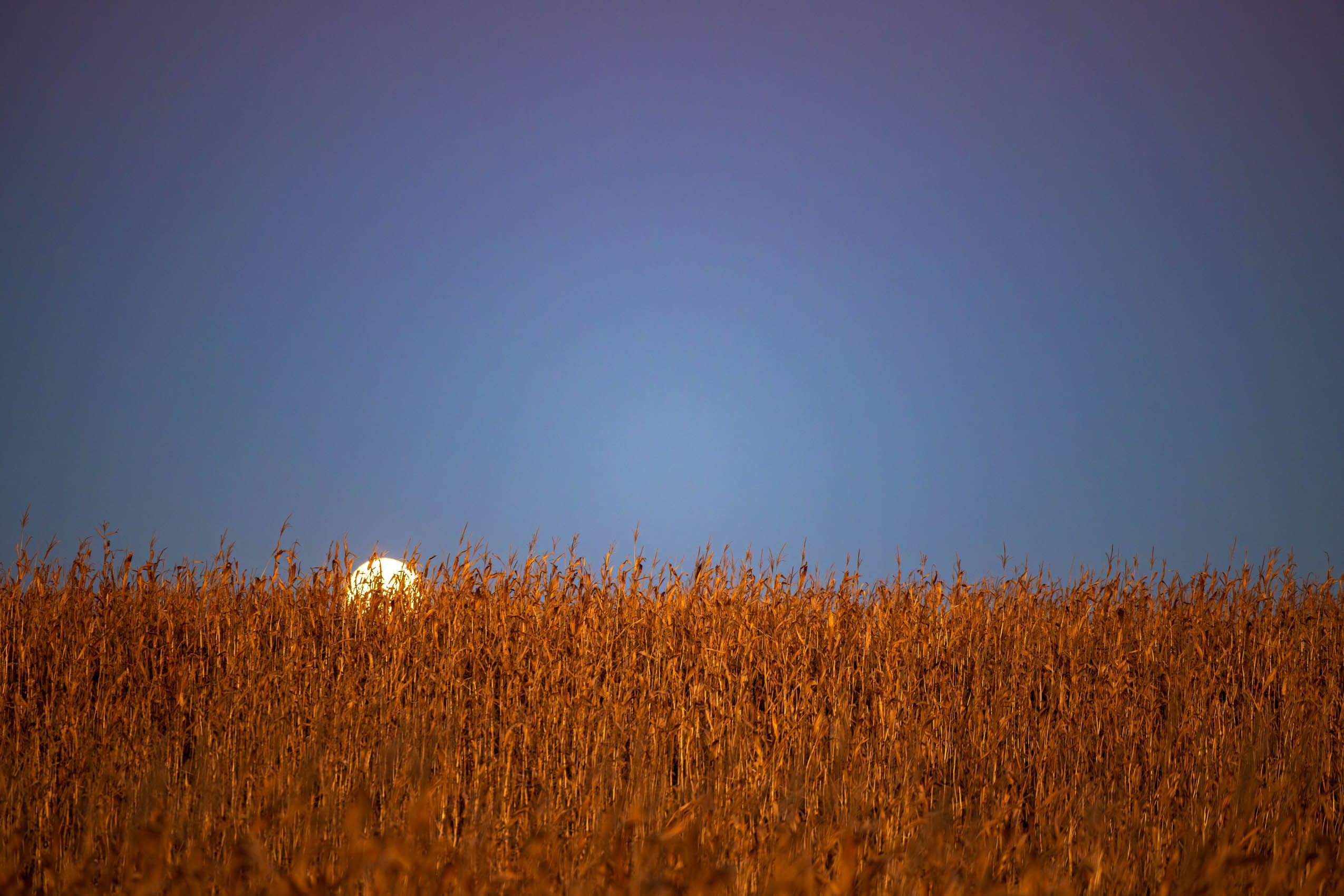 20241017-2V3A0847.jpg