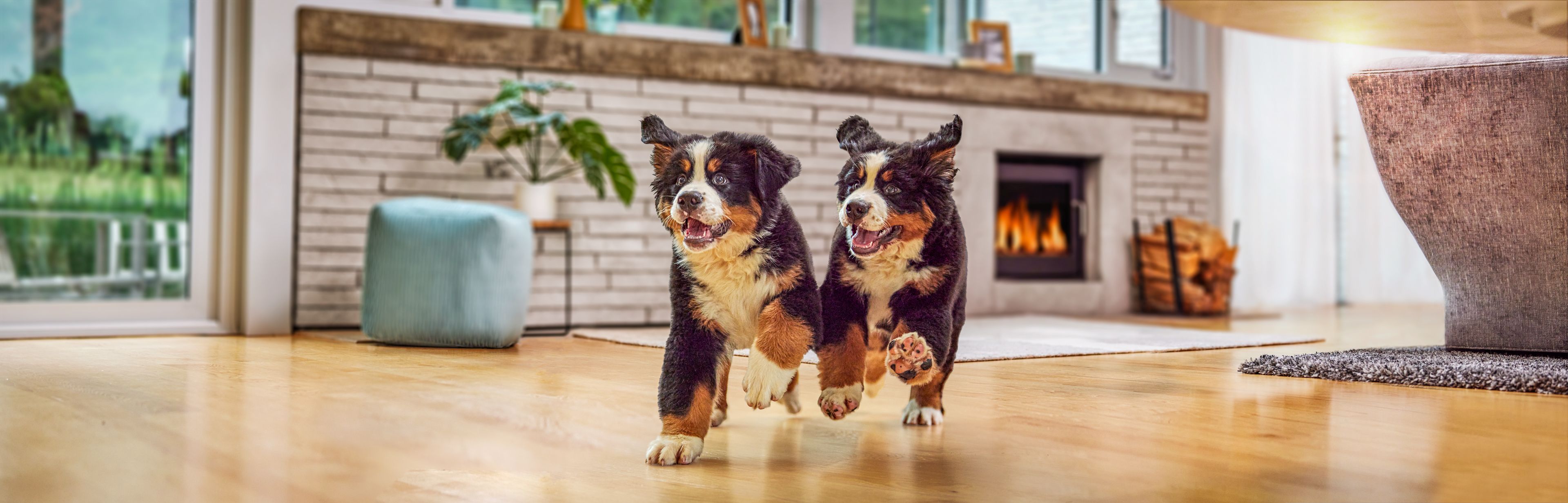 Puppies by Fireplace