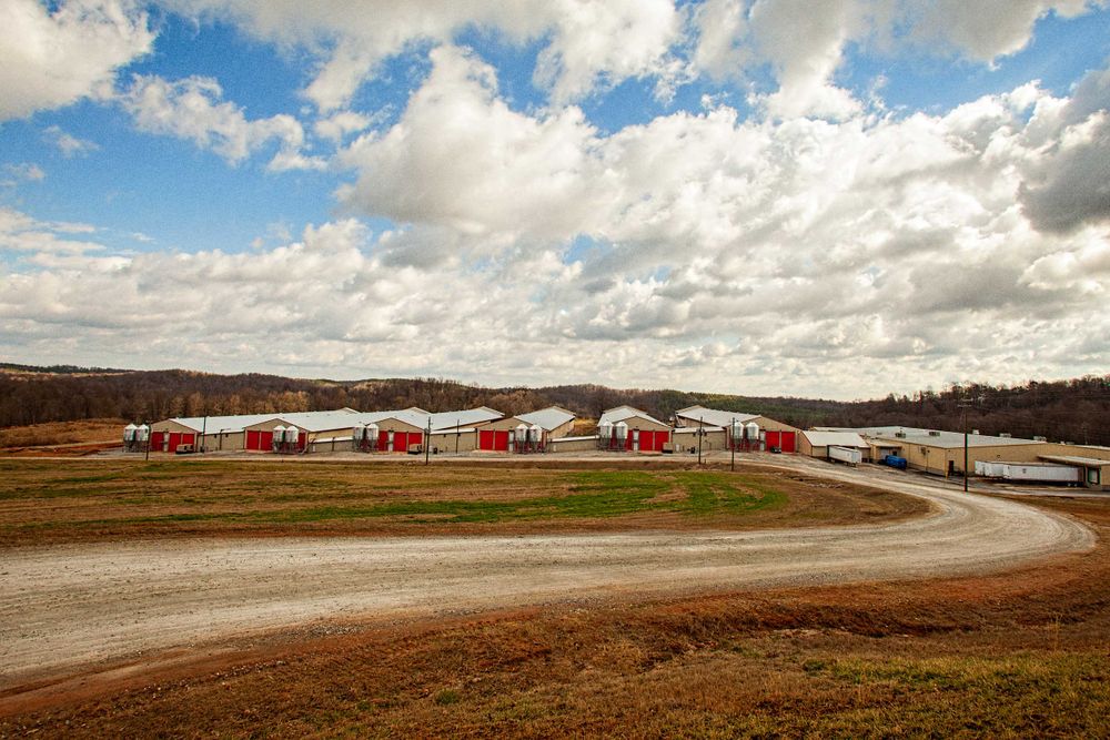Wide exterior photo of a chicken farm at the end of a dirt road in rural Georgia. Parley cloudy beautiful blue sky afternoon light. Photo for the United Egg Producers for advertising, branding and collateral. Environmental portrait, and we are a industrial photographer, on location photographer & location commercial photographer. Land Scape of a Chicken Farm