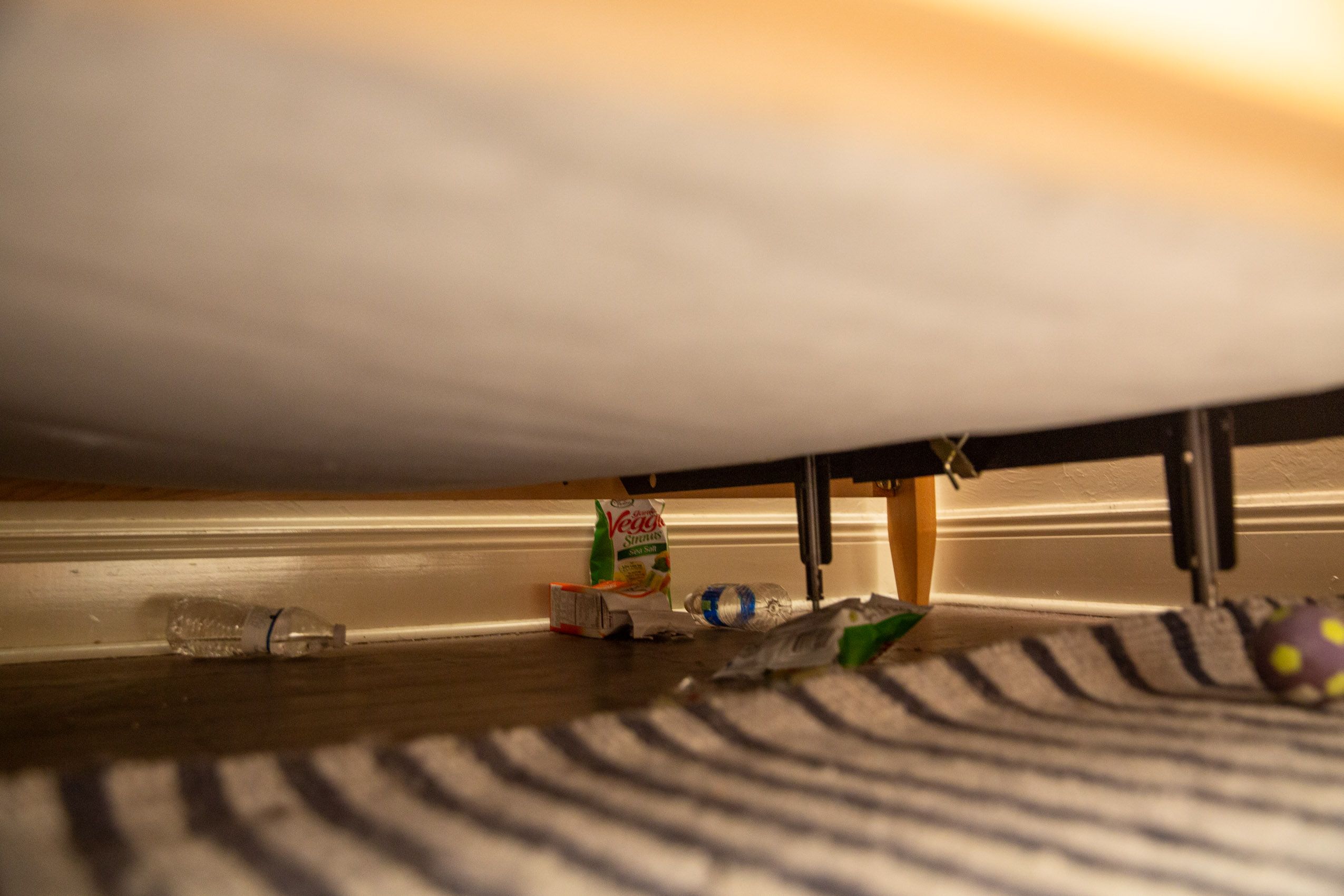 Luke Hoyer_6J0A4396.jpg