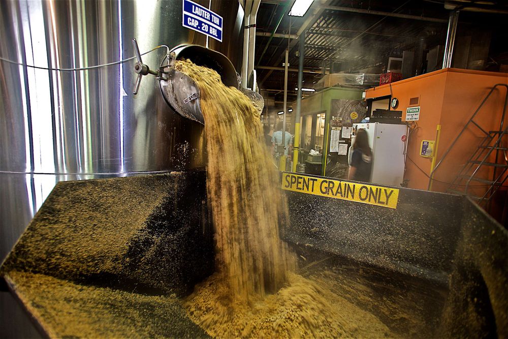 Photo at Schlafly Beer in St. Louis for an advertising campaign and image brand library showing a machine dumping spent grain, barely, hops and by product from a large vat. Environmental portrait. As an industrial photographer, on location photographer & location commercial photographer this was a great project to be associated with. Spent Grain Being Dumped