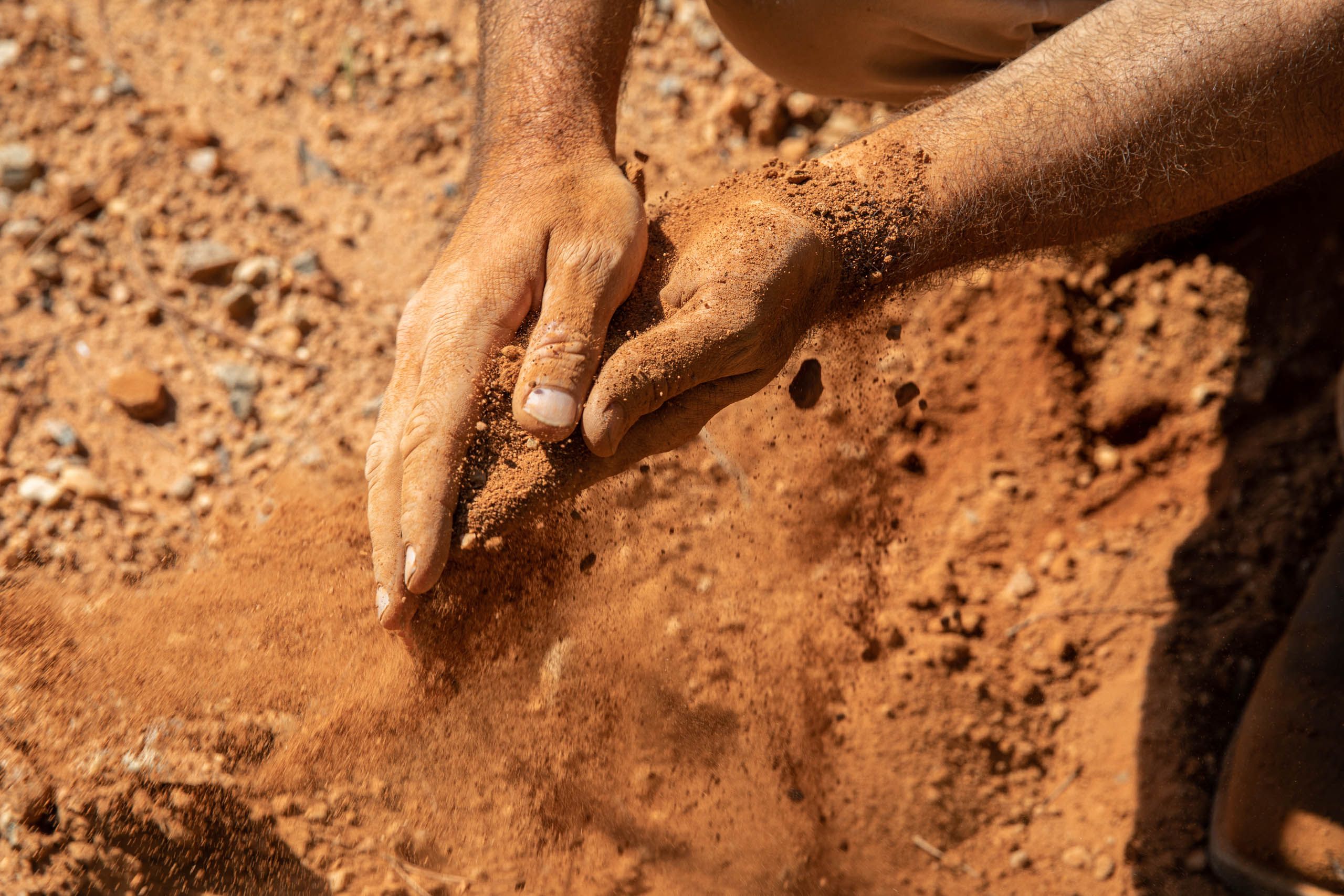 Hands in Dirt