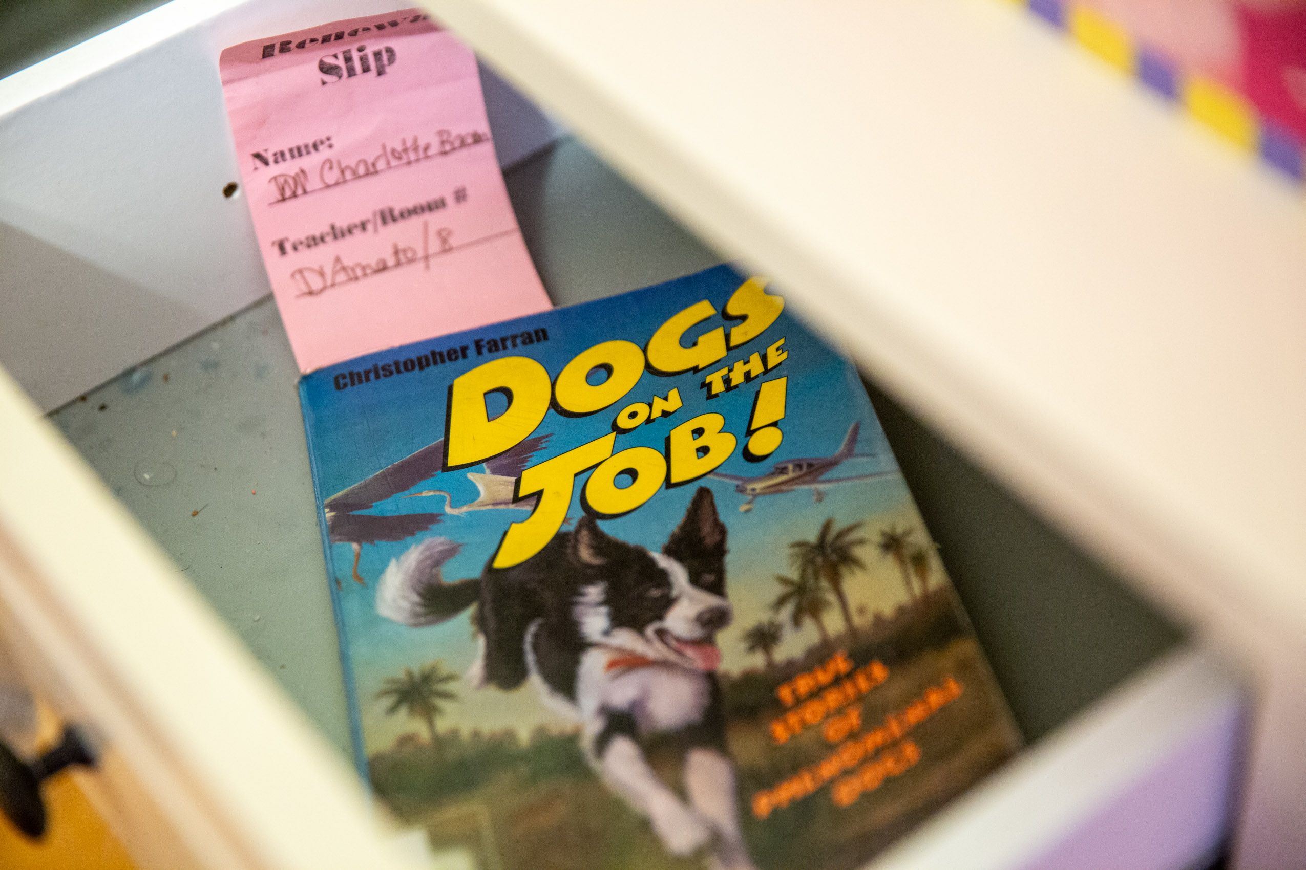 Charlotte Bacon_6J0A5632.jpg