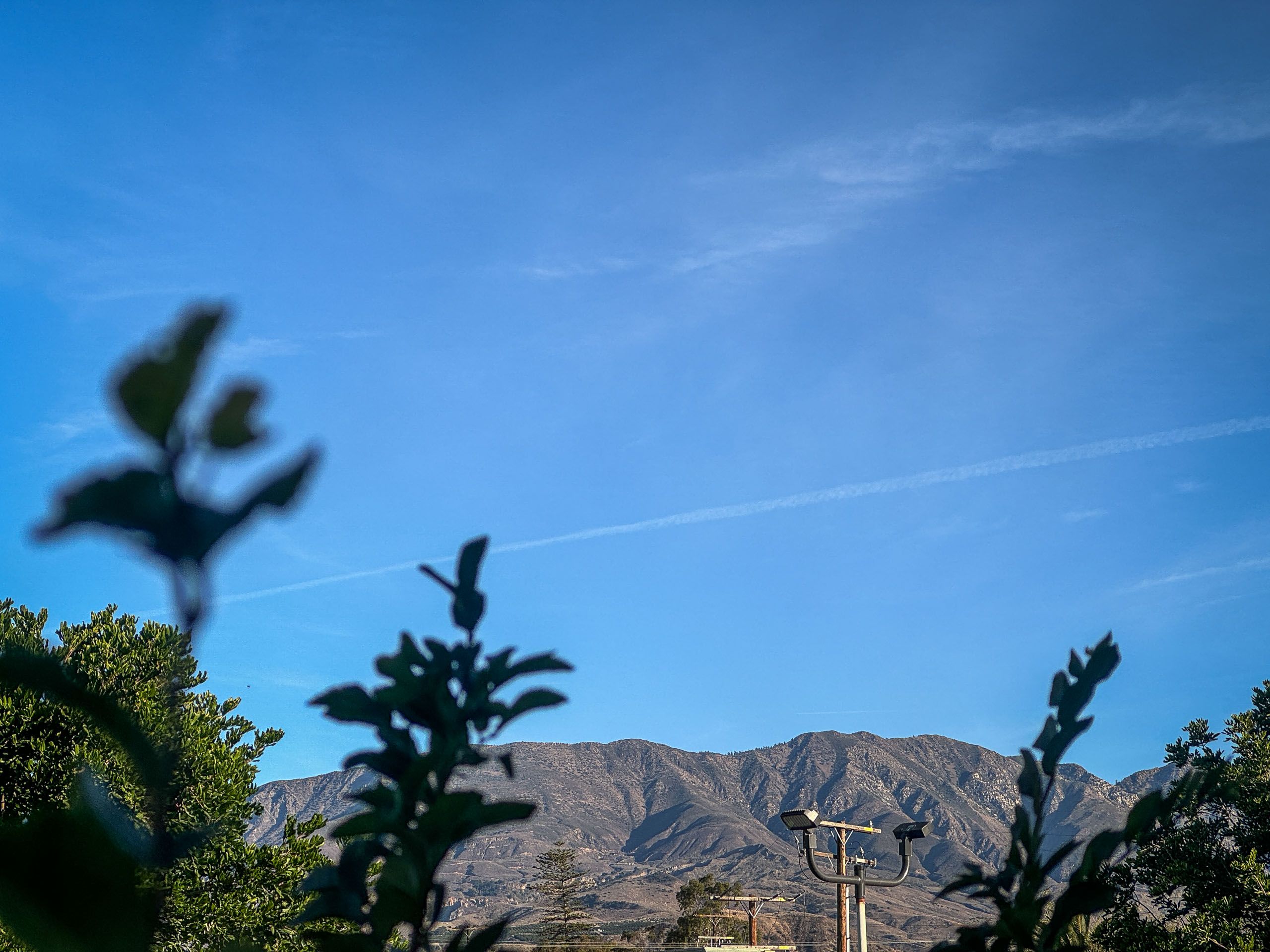 28. #19_Santa_Paula_Inn_IMG_1730.jpg