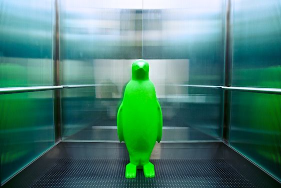 6J0A3945.jpg