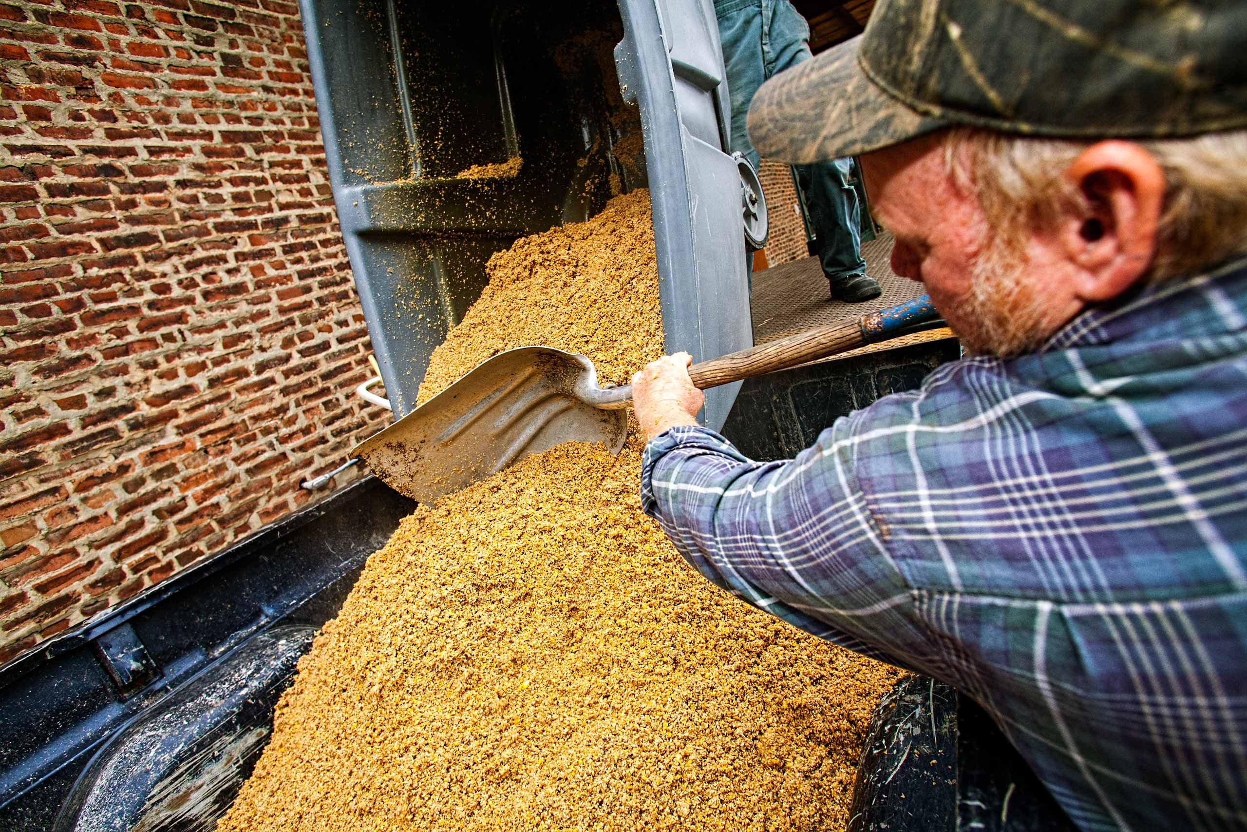 Man Shoveling Grain