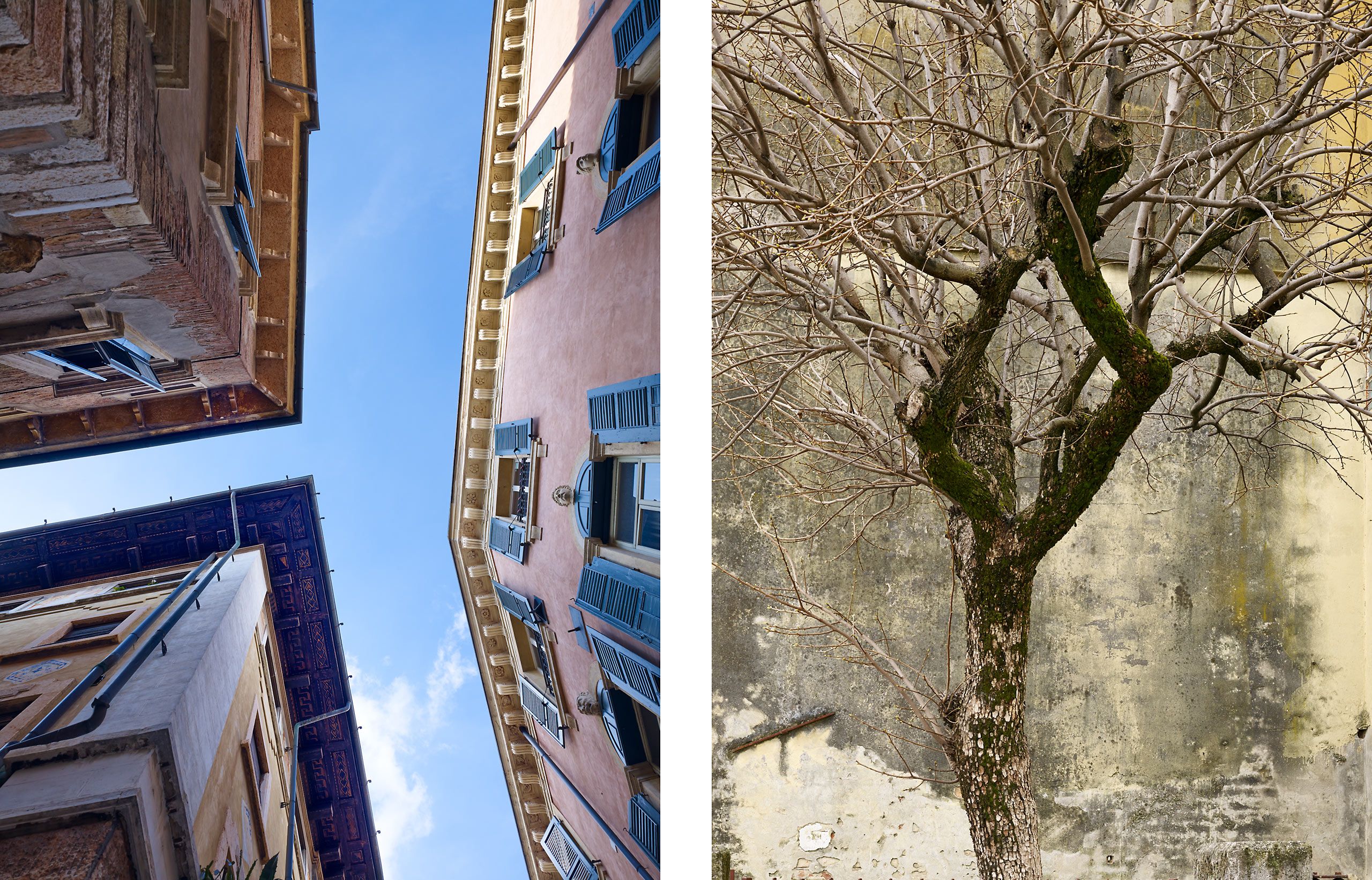 SKYLINE  .  VERONA   |   TREE  .  FARRA DI SOLIGO